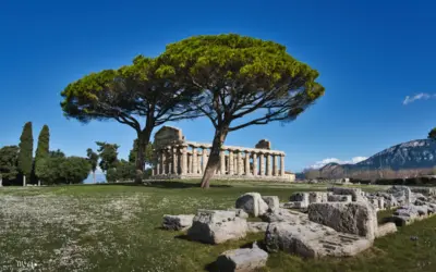 Besuch bei den Griechen
