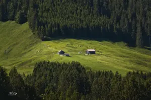 Ein Blick von gegenüber auf die sonnige Alpwiese wo der Bauernhof mit den Nebengebäuden und den Kühen die am weiden sind, zu sehen sind.