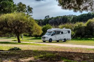 Wohnmobil steht in der Natur parkiert mit vielen Sträuchern und Bäumen drum.