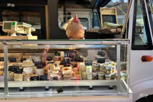 Vielfältige regionale Käseauswahl am Marktstand.