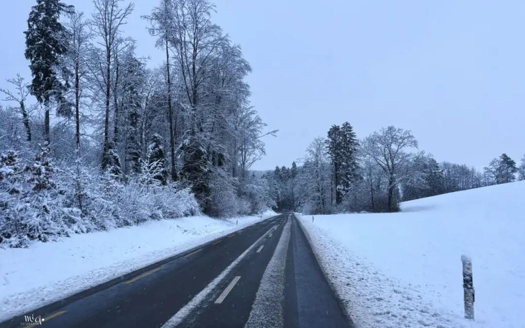 Zurück in der Schweiz