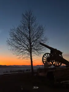 Ein Baum und eine alte Kanone heben sich vor dem leuchtenden Sonnenuntergang ab.