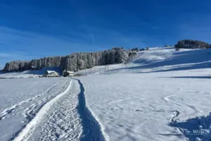 Quer über die verschneiten Felder führt ein Winterwanderweg durch die Landschaft.