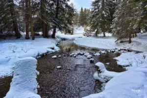 Der Bach schlängelt sich durch den verschneiten Wald.