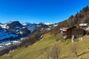 Schneefreie Bergwiese mit Alphütte mit den im Hintergrund liegenden Schneeberge