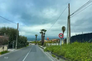 Eine Strasse führt weit geradeaus und ist mit Palmen gesäumt.