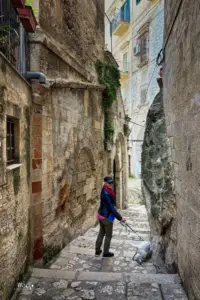 Ein Frau läuft mit ihrem Hund in den Altstadtgassen eine schmale Treppe runter.