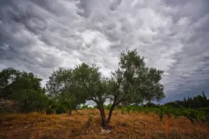 Imposanter vor-dem-Gewitter Himmel