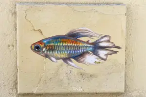 Bunter Regenbogenfisch aufgemalt auf eine Hausfassade.