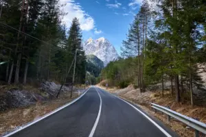 Die Strasse führt durch den Wald und direkt auf die hohen Berge zu.