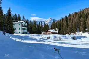 Trotz des Frühlings zeigt sich die Landschaft auf 1750 Meter über Meer noch tief winterlich.