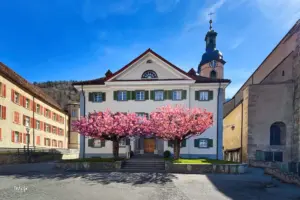 Die Kirschbäume vor dem historischen Gebäude präsentieren sich in voller Blütenpracht in intensivem rosa.