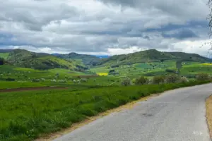 Einblick in die Hügel der Juraausläufer im Aargauer und Baselländer Fricktal.