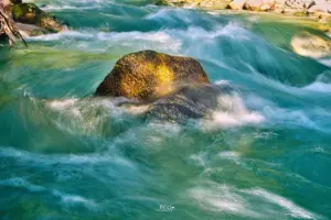 Golden von der Herbstsonne beleuchtet strahlt der Fels aus dem grünen Wasser des Beverin.