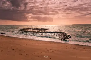 Die in der Gezeitenzone liegende Skulptur "Serpant d'Océan" (Schlange des Ozeans) bietet durch die immer wieder veränderten Wasserstände durch die Gezeiten einen immer ändernden Anblick. Die Skulputur wurde vom Künstler Huang Yong Ping erschaffen und ist 130 m lang.