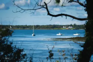 Zwischen den Ästen hindurch erhascht man einen Blick auf die Bucht wo ein paar Segelyachten ankern.