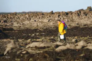 Ein Mann sucht nach Muscheln und Krustentieren am von der Ebbe freigelegten Strandabschnitt.