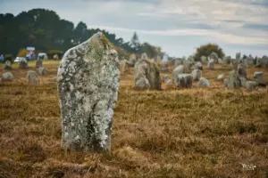 Ein paar Menhire (Felsen) aus den über 1100 Steinen die hier aufgereiht sind.