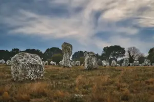 In unterschiedlichsten Grössen und Formen ragen die Steine der Steinreihen von Caranac aus dem Boden.