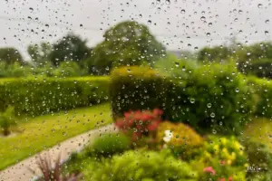 Ein Blick durch das verregnete Fenster zeigt das Regenwetter das aktuell herrscht.