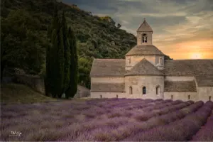 Kurz nach Sonnenaufgang steht die Abbaye Notre-Dame-de-Sénanque ruhig und einsam inmitten des Lavendels