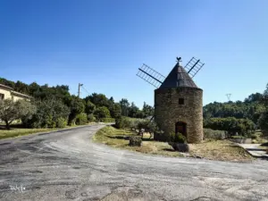 Am Strassenrand in einem Olivenhain steht eine alte Öl-Windmühle.