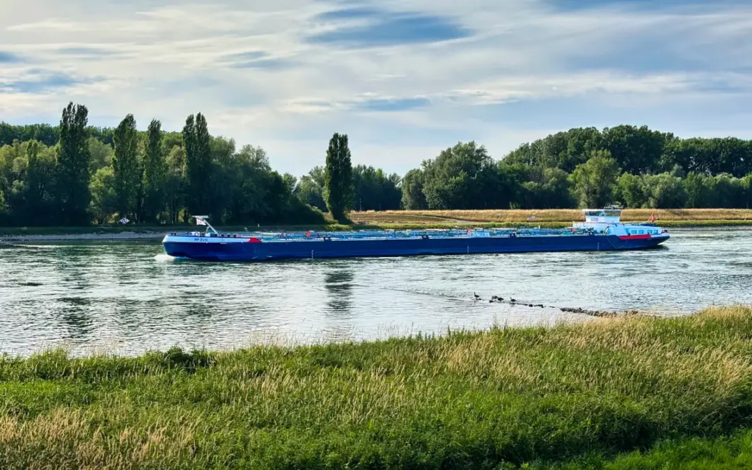 Mit dem Wohnmobil am Rhein – Zwischen Elvis, Ersatzteilen und einer toten Gans