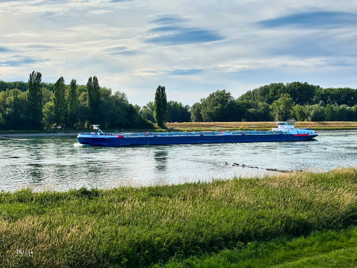 Ein voll beladenes Transportschiff auf dem Rhein unterwegs.